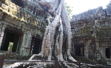 Siem Reap to Phnom Penh 4 days 3 nights