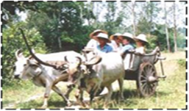 Khao Yai National Park